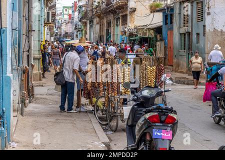 Marché aux oignons et à l'ail, la Havane, Cuba Banque D'Images