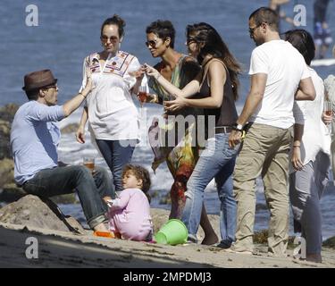 Bikini beauté, Halle Berry, a célébré son anniversaire 45th sur la plage avec son petit ami Olivier Martinez, plusieurs pals et son adorable fille Nahla. L'actrice semblait être dans de grands esprits, bien qu'elle ait été jetée dans l'eau et a été aperçue plaisantant et sirotant des boissons à l'extérieur de sa maison à Malibu, CA. 14 août 2011. Banque D'Images