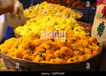 Paniers remplis de fleurs de marigold indien Banque D'Images