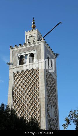 Minaret de la mosquée Kasbah à Tunis Banque D'Images