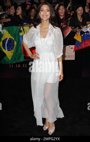 Julia Jones à la première mondiale de "The Twilight Saga: Breaking Dawn part 1" au Nokia Theatre. Los Angeles, Californie. 14th novembre 2011. Banque D'Images