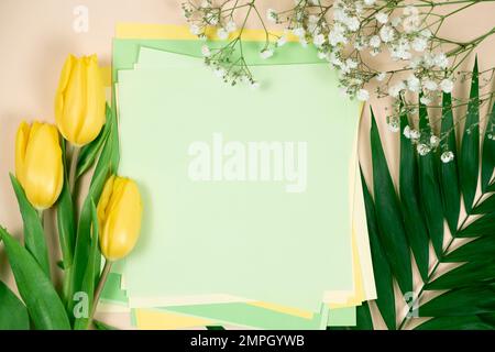 Maquette de printemps - fleurs et un endroit pour le texte. Bonjour mars, avril, mai, bonne journée des femmes Banque D'Images