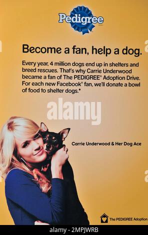 Carrie Underwood se blottit avec un adorable cooque lors de la promenade annuelle d'adoption Pedigree 6th au centre d'adoption Bideawee de Manhattan. La chanteuse de country primée Grammy a récemment terminé le tournage de son premier film ÒSoul SurferÓ et va bientôt nouer le nœud avec fiancŽ, joueur de hockey Mike Fisher des sénateurs d'Ottawa. New York, NY. 03/30/10. Banque D'Images