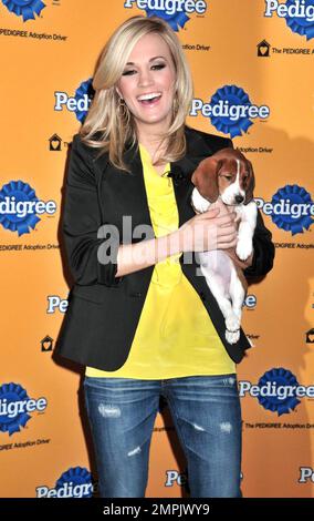 Carrie Underwood se blottit avec un adorable cooque lors de la promenade annuelle d'adoption Pedigree 6th au centre d'adoption Bideawee de Manhattan. La chanteuse de country primée Grammy a récemment terminé le tournage de son premier film ÒSoul SurferÓ et va bientôt nouer le nœud avec fiancŽ, joueur de hockey Mike Fisher des sénateurs d'Ottawa. New York, NY. 03/30/10. Banque D'Images