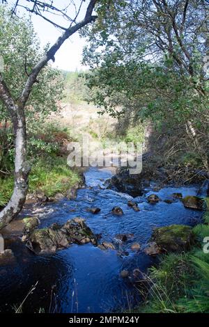 Glenashdale Burn et Glenashdale Falls près de Whiting Bay sur l'île d'Arran Ayrshire en Écosse Banque D'Images