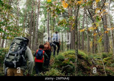 Vue arrière de la randonnée familiale en forêt pendant les vacances Banque D'Images