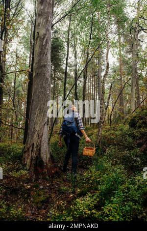 Vue arrière de la femme avec panier explorant dans les bois pendant les vacances Banque D'Images
