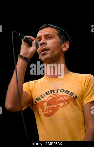 Rick Witter - Shed Seven, V2008, Hylands Park, Chelmsford, Essex, Royaume-Uni - 16 août 2008 Banque D'Images