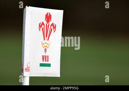 Cardiff, Royaume-Uni. 31st janvier 2023. Gros plan du logo de l'Union de rugby galloise sur un drapeau de la ligne de touche. Rencontre de rugby au pays de Galles, Vale of Glamorgan, le mardi 31st janvier 2023. L'équipe se prépare pour le match de championnat Guinness des six nations contre l'Irlande cette semaine. photo par Andrew Orchard/Andrew Orchard sports photographie/ Alamy Live News crédit: Andrew Orchard sports photographie/Alamy Live News Banque D'Images