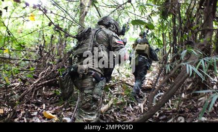 Des membres de la police nationale philippine-Force d'action spéciale et du groupe des 1st forces spéciales effectuent un mouvement tactique sous dissimulation lors de l'entraînement conjoint combiné d'échange Balance piston à Subic, Philippines, le 12 novembre 2022. Le piston d'équilibrage est conçu pour améliorer la sécurité régionale et garantir des réponses efficaces aux crises régionales en réunissant une force multinationale robuste pour répondre aux objectifs communs et aux engagements de sécurité dans l'Indo-Pacifique. Une alliance de défense solide et tournée vers l'avenir entre les États-Unis et les Philippines, enracinée dans l'histoire, contribue à favoriser une région Indo-Pacifique libre et ouverte où tout le monde Banque D'Images