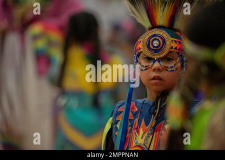 Les Amérindiens des tribus Shoshone-Paiute participent à un Pow Wow dans le comté d'Owyhee, Nevada, le 12 novembre 2022. Les Pow Wows sont des rassemblements amérindiens qui incluent le chant et la danse pour célébrer leurs histoires ancestrales. Mountain Home Air Force base a été invité au Pow Wow en l'honneur de la journée des anciens combattants. Il s’agissait de la première invitation Pow Wow depuis le début de la COVID-19. (US Air Force by Airman 1st Class Krista Reed Choate) 366FW,Pow Wow,Shoshone-Paiute Tribes,Duck Valley Indian Rese, Banque D'Images