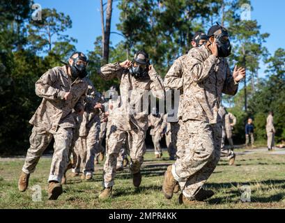 Les recrues de la Compagnie de l'Inde, 3rd Recruit Training Battalion, emploient des masques à gaz à la chambre à gaz du corps de Marine recent Depot Parris Island, S.C. (14 novembre 2022). La formation en chambre à gaz enseigne aux recrues comment enfiler et nettoyer rapidement un masque à gaz, simulant l'événement de dangers chimiques, biologiques, radiologiques ou nucléaires. Banque D'Images