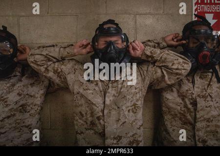 Les recrues de la Compagnie de l'Inde, 3rd Recruit Training Battalion, emploient des masques à gaz à la chambre à gaz du corps de Marine recent Depot Parris Island, S.C. (14 novembre 2022). La formation en chambre à gaz enseigne aux recrues comment enfiler et nettoyer rapidement un masque à gaz, simulant l'événement de dangers chimiques, biologiques, radiologiques ou nucléaires. Banque D'Images