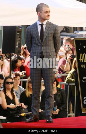 Daniel Radcliffe reçoit une étoile sur le Hollywood Walk of Fame. Los Angeles, Californie. 12th novembre 2015. Banque D'Images