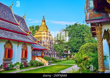 Le jardin tropical vert de Wat Chiang Man avec des Viharns et Elephant Chedi, Chiang Mai, Thaïlande Banque D'Images