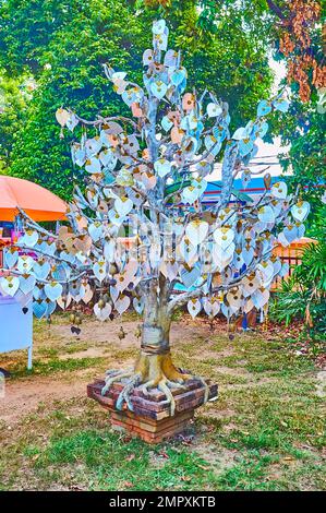 L'arbre Bodhi (Bo, po, Pho) avec des feuilles de prière argentées dans le jardin de Wat Lok Moli, Chiang Mai, Thaïlande Banque D'Images