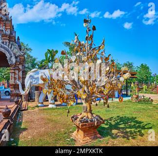 Le magnifique arbre de Bodhi doré dans le jardin de Wat Lok Moli contre la statue de l'éléphant blanc, Chiang Mai, Thaïlande Banque D'Images