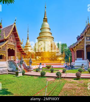 Wat Phra Singh temple complexe avec Phra doré que Luang chedi (stupa) et Viharn Lai Kham pavillon avec toit en pignon, finement sculpté et peint détails, Banque D'Images