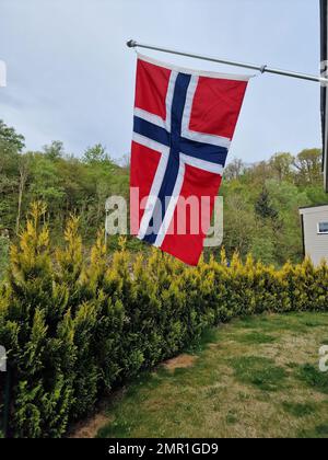 Un cliché vertical d'un jardin vert bordé d'arbres et du drapeau norvégien suspendu d'une maison Banque D'Images