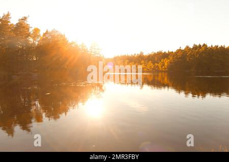 Paysage de l'archipel suédois avec forêt inondée de soleil se reflète dans un lac Banque D'Images