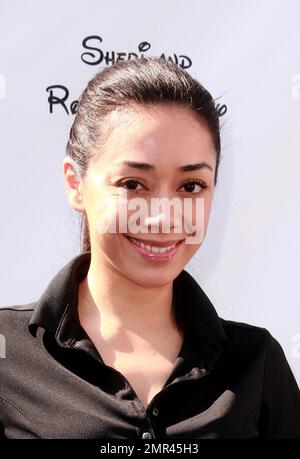 Aimee Garcia participe à la Classique de golf George Lopez Celebrity 7th présentée par Sabra Salsa au Lakeside Golf Club. Lac Toluca, CA. 5th mai 2014. Banque D'Images