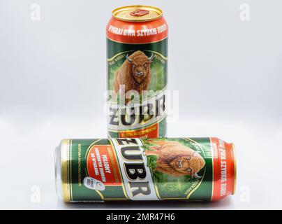 Kiev, Ukraine - 01 juin 2022: Studio Shoot of Zubr Polish lager bières canettes gros plan sur blanc. La bière est brassée par Kompania Piwowarska sa. Zubr depuis Banque D'Images