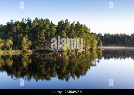 Paysage de l'archipel suédois avec forêt inondée de soleil se reflète dans un lac Banque D'Images