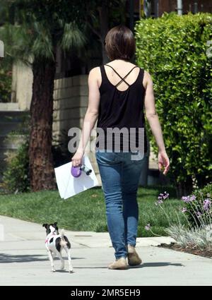 Exclusif !! Ashley Greene, actrice de « Twilight: New Moon », a été vue en train de faire une revue de script de dernière minute avec son chiot Marlow avant de changer ses vêtements et de se rendre à une audition à Culver City. Quand on lui a demandé ce qu'elle auditait pour Ashley, il a dit que c'était pour un petit film indépendant. Los Angeles, Californie. 5/15/09. Banque D'Images