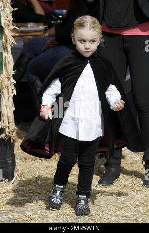 Gwen Stefani et son mari Gavin Rossdale s'insèrent dans l'esprit de l'Halloween en emportant leurs adorables fils Kingston et Zuma, vêtus de vampires, à une citrouille en L.A. Le couple affectueux a été vu tenant les mains et partageant un baiser en attendant que leurs garçons apprécient le plaisir. Kingston a été vu rebondir sur un saut à l'élastique tandis que Gwen a aidé Zuma à sauter le long des botte de foin. Los Angeles, Californie. 21st octobre 2012. Banque D'Images