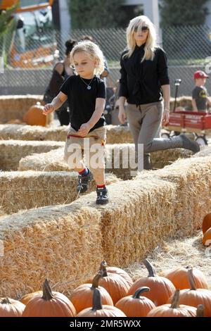 Gwen Stefani et son mari Gavin Rossdale s'insèrent dans l'esprit de l'Halloween en emportant leurs adorables fils Kingston et Zuma, vêtus de vampires, à une citrouille en L.A. Le couple affectueux a été vu tenant les mains et partageant un baiser en attendant que leurs garçons apprécient le plaisir. Kingston a été vu rebondir sur un saut à l'élastique tandis que Gwen a aidé Zuma à sauter le long des botte de foin. Los Angeles, Californie. 21st octobre 2012. Banque D'Images