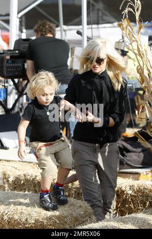 Gwen Stefani et son mari Gavin Rossdale s'insèrent dans l'esprit de l'Halloween en emportant leurs adorables fils Kingston et Zuma, vêtus de vampires, à une citrouille en L.A. Le couple affectueux a été vu tenant les mains et partageant un baiser en attendant que leurs garçons apprécient le plaisir. Kingston a été vu rebondir sur un saut à l'élastique tandis que Gwen a aidé Zuma à sauter le long des botte de foin. Los Angeles, Californie. 21st octobre 2012. Banque D'Images
