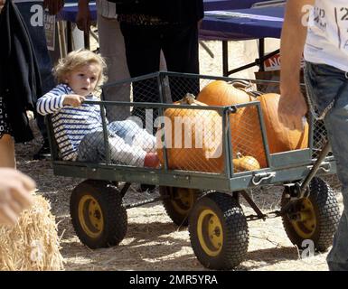 Gwen Stefani et Gavin Rossdale tirent leur fils, Kingston, dans un wagon lors d'une visite à M. Bones Pumpkin Patch pour ramasser leurs citrouilles à décorer pour Halloween. De son apparence, ils en ont pris trois très belles qui feront des Jack-o-lanternes parfaits! Beverly Hills, Californie. 10/12/08. Banque D'Images