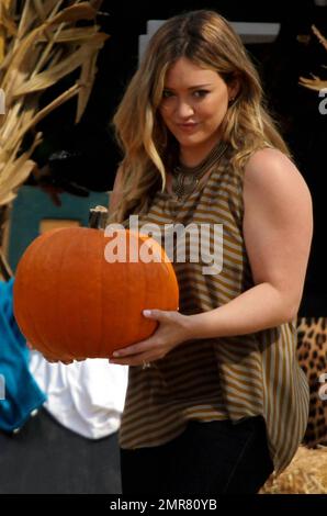 Hilary Duff, son mari Mike Comrie et son fils Luca Cruz Comrie, ont été repérés pour entrer dans l'ambiance des fêtes en visitant le MR Bones Pumpkin Patch où ils ont été vus cueillir leur citrouille. Los Angeles, Californie. 13th octobre 2012. Banque D'Images