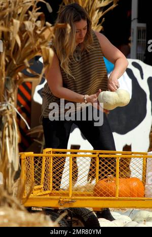 Hilary Duff, son mari Mike Comrie et son fils Luca Cruz Comrie, ont été repérés pour entrer dans l'ambiance des fêtes en visitant le MR Bones Pumpkin Patch où ils ont été vus cueillir leur citrouille. Los Angeles, Californie. 13th octobre 2012. Banque D'Images