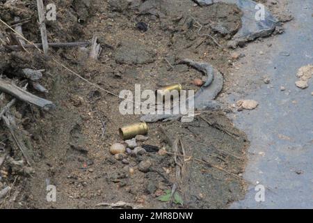 Manaus, Amazonas, Brésil. 31st janvier 2023. (INT) Un adolescent aurait été enlevé et assassiné à Manaus. 31 janvier 2023, Manaus, Amazona, Brésil: Avec sept coups de feu, l'adolescent Bryan Azevedo Dantas, 17 ans, a été trouvé mort mardi (31) matin dans une zone forestière de la section de l'Avenida Oitis, dans le district industriel 2, sur le côté est de Manaus. Le suspect est que le jeune homme a été kidnappé et assassiné dans un règlement possible des scores de trafic de drogue. Le cas sera examiné par le poste de police spécialisé pour les homicides et les enlèvements (DEHS).Credit: Josemar Antunes/Thenews2 (CRE Banque D'Images