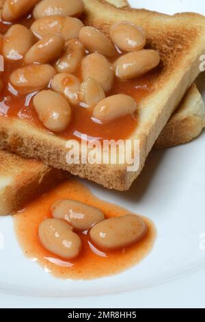 Haricots blancs avec sauce tomate sur le pain grillé Banque D'Images