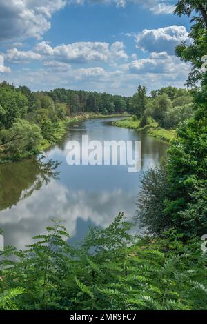 Lusatien Neisse près de Lodenau, Saxe, Allemagne, Europe Banque D'Images