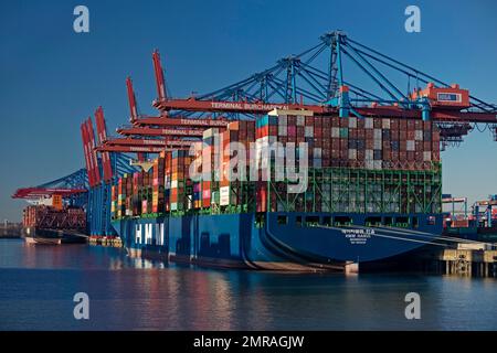 Terminal à conteneurs Burchardkai avec navire à conteneurs plein, Port de Hambourg, Hambourg, Allemagne, Europe Banque D'Images