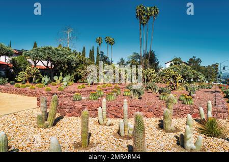 Parc public historique de Cactus Garden à Beverly Gardens Park à Beverly Hills, Californie, États-Unis. Banque D'Images