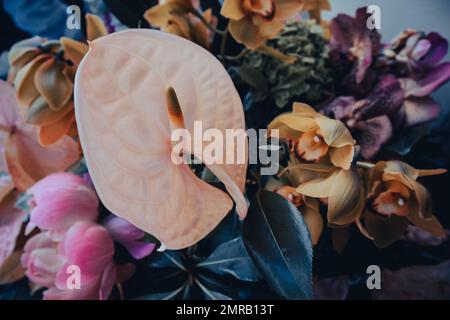 Magnifiques fleurs tropicales colorées sur fond bleu foncé. Anthurium rose, fleur d'arrière-plan, fleur de flamants roses, lacéleaf, pivoine, orchidées avec feuilles vertes. Banque D'Images