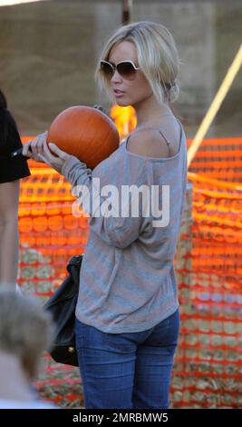 L'ancienne actrice de film pour adultes Jenna Jameson choisit sa citrouille d'Halloween lors d'une visite à MR Bones Pumpkin Patch. L'icône X-raated serait en négociation pour aller sur la scène de Broadway dans le nouveau rock musical 'Rock of Ages'. Elle a dit qu'elle pense qu'elle est parfaite pour le rôle et qu'elle est excitée parce que Broadway a toujours été son rêve. West Hollywood, Californie. 10/28/10. Banque D'Images