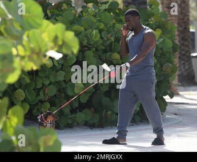 L'acteur comique Kevin Hart est repéré marchant dans son chien tout en conversant sur son téléphone cellulaire et en portant des pantoufles associées à un sweat-shirt gris devant son hôtel de Miami. Miami, Floride. 18 juillet 2014. Banque D'Images