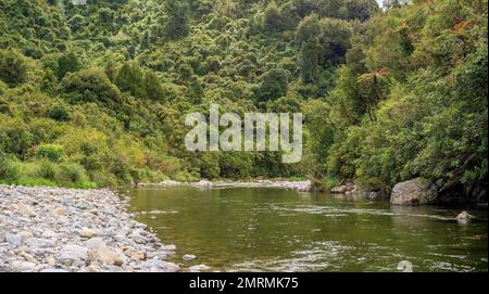 Une photo panoramique de la rivière Otaki entourée d'arbres à Kapiti, en Nouvelle-Zélande Banque D'Images