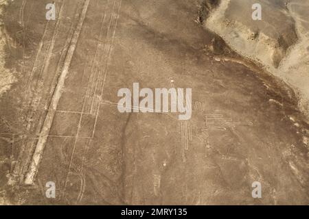 Patrimoine de l'UNESCO : lignes et géoglyphes de Nazca, Pérou Banque D'Images