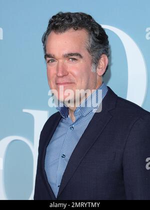 Los Angeles, États-Unis. 31st janvier 2023. Brian d'Arcy James arrive à la première de la série originale de drames d'Apple cher Edward tenu à la Guilde des directeurs d'Amérique à Los Angeles, CA, mardi, 31 janvier 2023. (Photo de Juan Pablo Rico/Sipa USA) crédit: SIPA USA/Alay Live News Banque D'Images