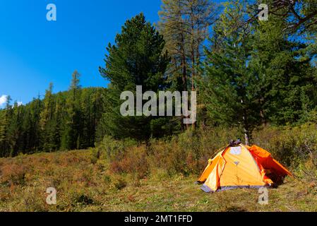 Une tente touristique orange s'ouvre avec des chaussures de randonnée à l'étage au soleil le matin dans la forêt des montagnes de l'Altaï. Banque D'Images