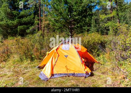 Une tente touristique orange s'ouvre avec des chaussures de randonnée à l'étage au soleil le matin sous les épinettes dans la forêt de l'Altaï. Banque D'Images