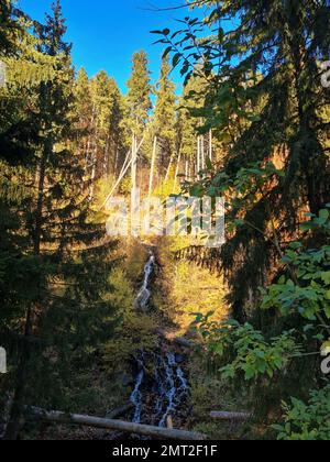 Un plan vertical d'une étroite cascade qui coule sur la pente avec forêt de pins sur le fond Banque D'Images