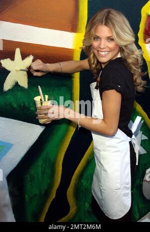 AnnaLynne McCord pose et aide à peindre une peinture murale lors de son dévoilement au centre communautaire d'El Salvador pour aider à promouvoir le projet de régénération du Pepsi de base-ball de la Ligue majeure. La fresque, créée par l'artiste Roberto Del Hoyo et mesurant 10 pieds de haut sur 86 pieds de large, a été créée en partenariat avec LA Commons. La fresque fait partie du projet MLB Pepsi Refresh, qui verra 15 équipes MLB révéler une idée centrée sur la communauté sur le nouveau spot de télévision FOX « Jocks » et se disputer une bourse Pepsi Refresh $200 000 pour voir cette idée se concrétiser. Santa Ana, CA. 07/13/10. Banque D'Images