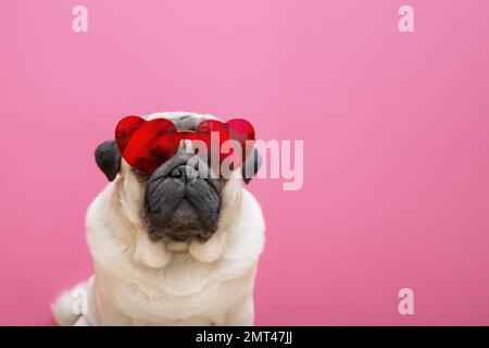 Chien mignon beige en forme de coeur rouge dans des verres sur fond rose. Concept de la Saint-Valentin. Symbole d'amour et de romance. Copier l'espace Banque D'Images